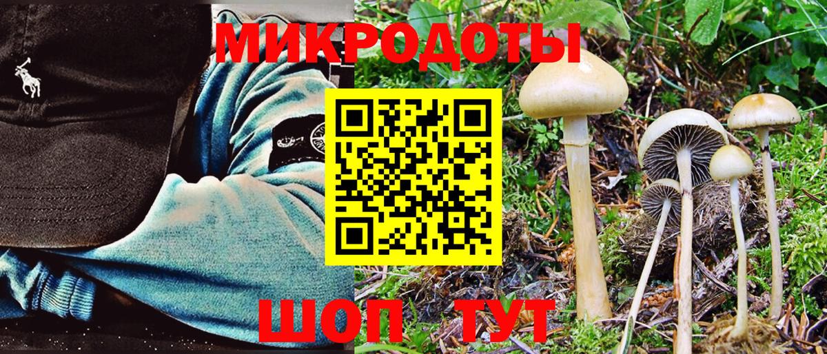 Тосно  Псилоцибиновые грибы Psilocybine cubensis  Вход с VPN  наркошоп  Псилоцибиновые грибы Psilocybine cubensis 