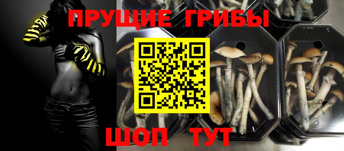 Галлюциногенные грибы мухоморы Тосно